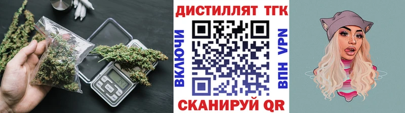 ТГК концентрат  Купить где  Новое Девяткино 