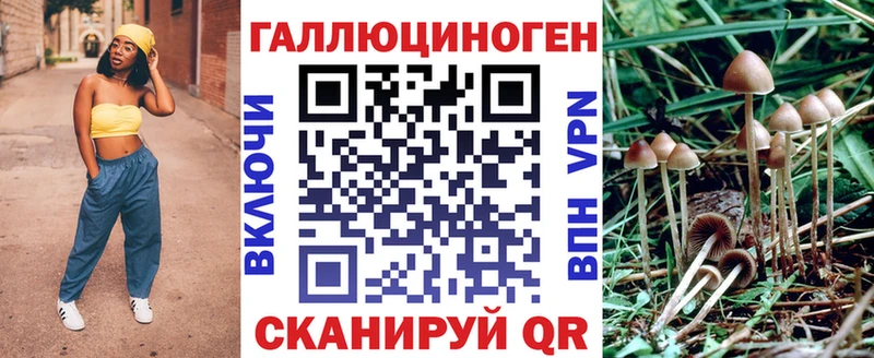 Псилоцибиновые грибы мицелий  Купить  Новое Девяткино 