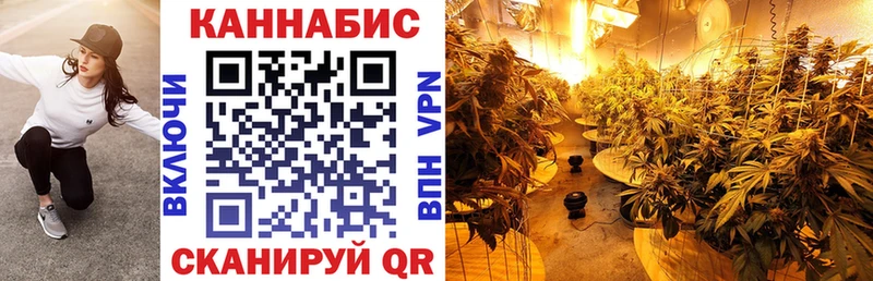 Канабис Bruce Banner Новое Девяткино